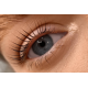 Step 3 Serum für Wimpern- und Brauenlaminierung 10 ml PLATINUM
