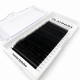 Fertige Wimpernbüschel 2D Schwarz U-Shape Curl L 0.07 7–13 mm PLATINUM